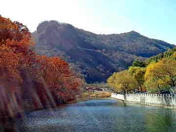 新澳天天开奖资料大全旅游团，睡在哥哥身边